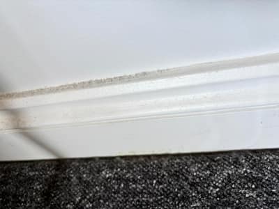 Dusty skirting board above a carpet before cleaning