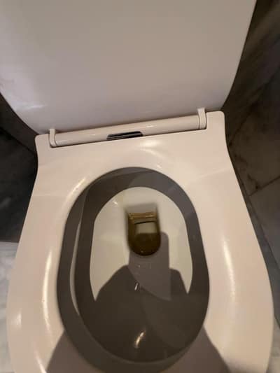 Toilet bowl cleaned and disinfected